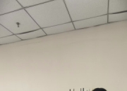 上海宝山区脑机接口产业新地标：韶脑科技的医疗级转化之路