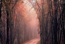 2026广场/水景/音乐喷泉厂家+音乐喷泉设计公司+喷泉设备