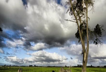 2026 户外照明与智能交通设备领域 全国专业实力企业参考